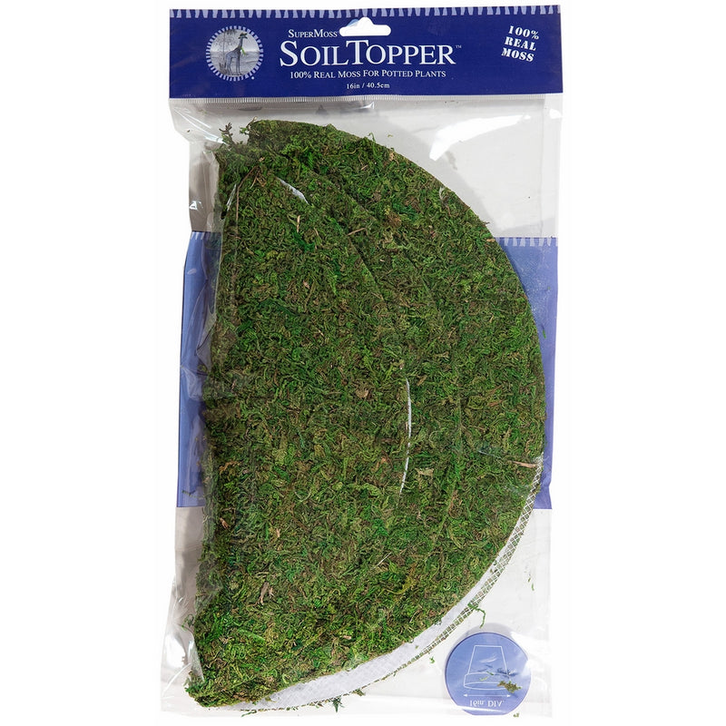 Super Moss 26315 Preserved Soil Topper Moss Pot, 12-Inch