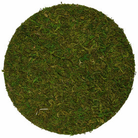 Super Moss 26310 Preserved Soil Topper Moss Pot, 10-Inch
