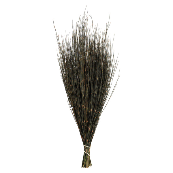 15-20" Short Stem Natural Bell Grass