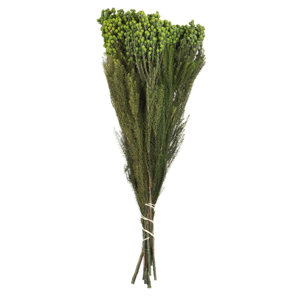 12-15" Green Lanuginosa Bundle