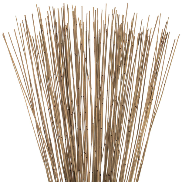 Marsh Reed Bundle