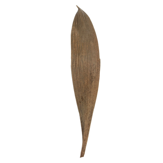 6-12" Natural Palm Paddles 16-20/Bag