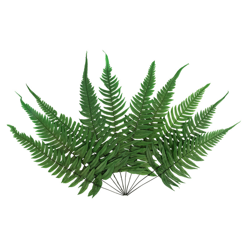 12-13" Green Rock Fern Stem 10/Pk