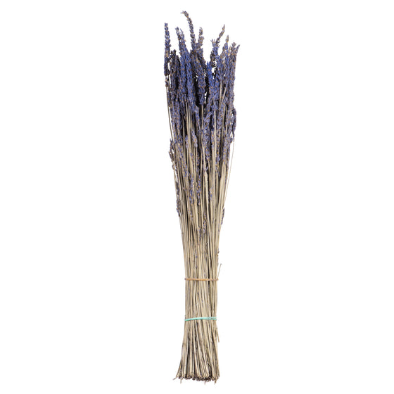 12-18" Lavender Bundle -  4oz.