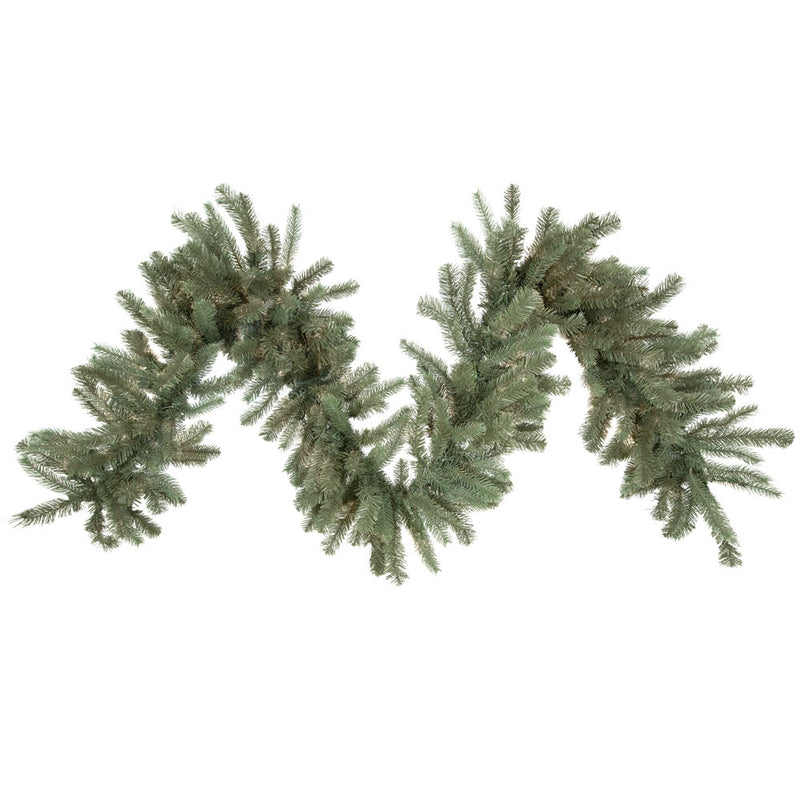 Colorado Spruce