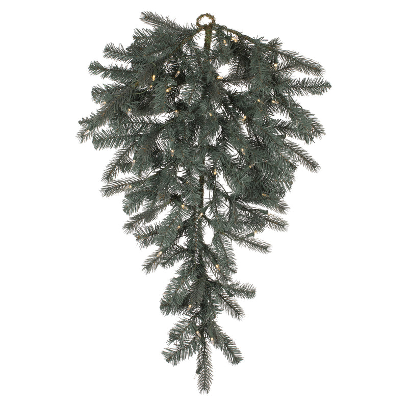 Colorado Blue Spruce