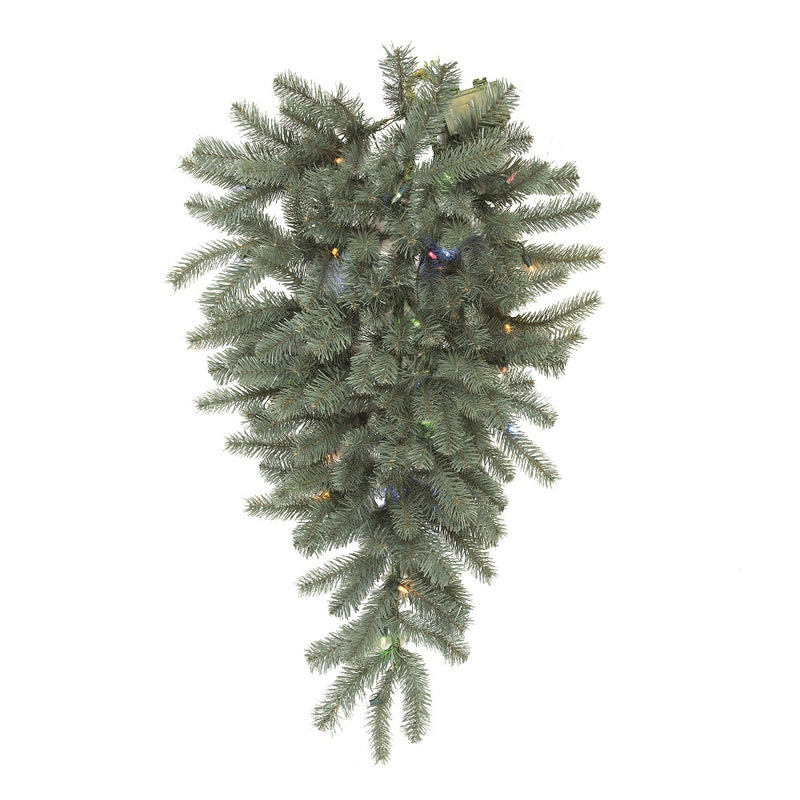 Colorado Blue Spruce