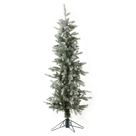 Frosted Tannenbaum