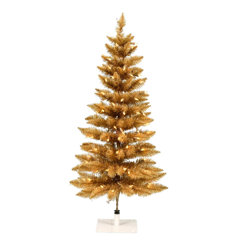 Gold Fir