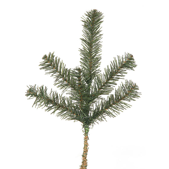 Canadian Pine