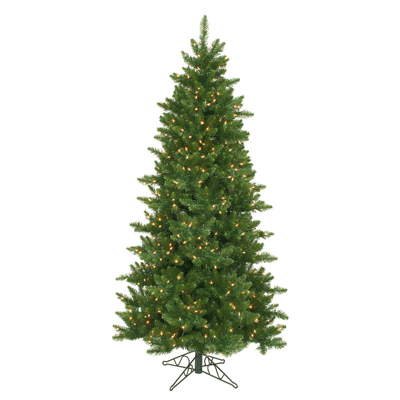 Camdon Fir