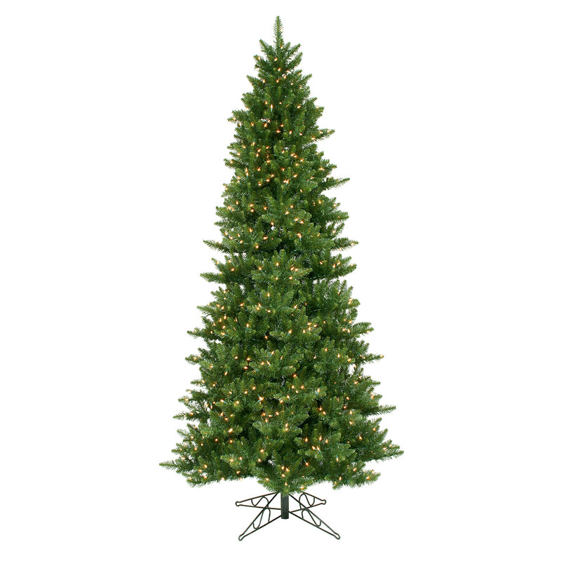 Camdon Fir