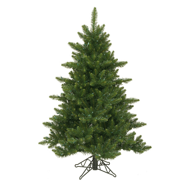 Camdon Fir