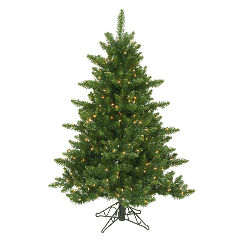 Camdon Fir