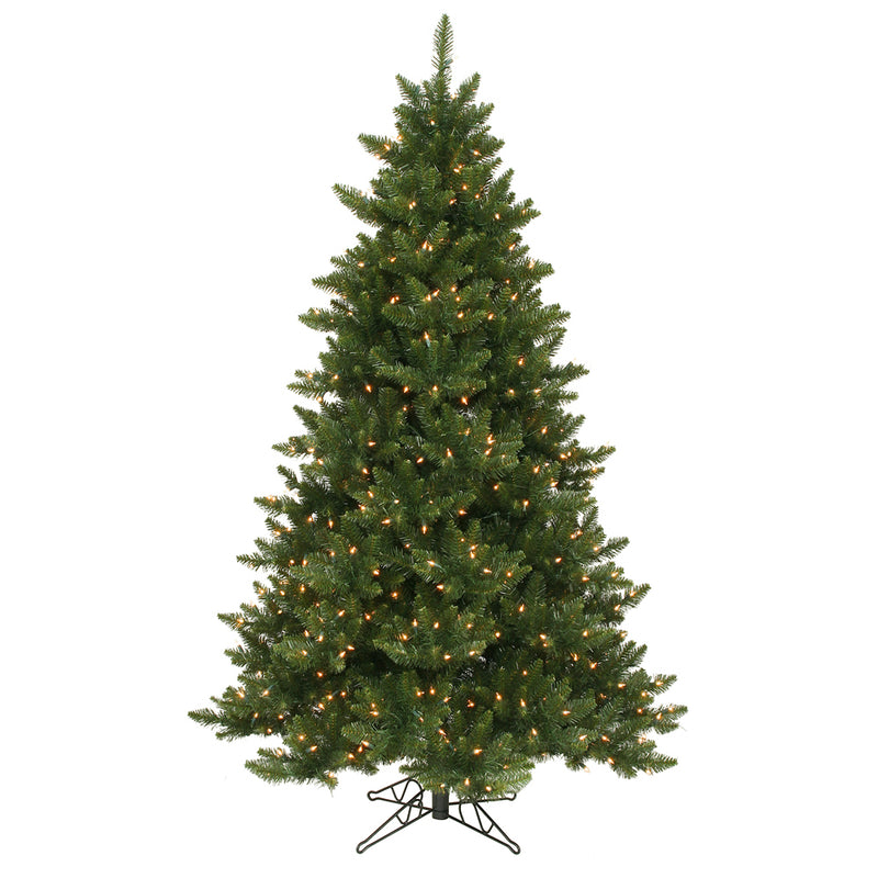 Camdon Fir