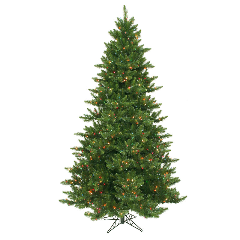 Camdon Fir