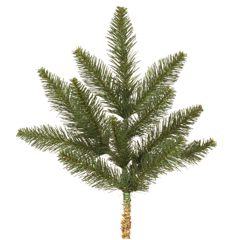 Camdon Fir