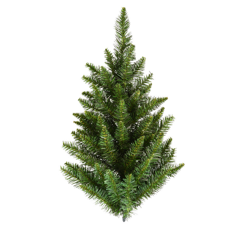 Camdon Fir