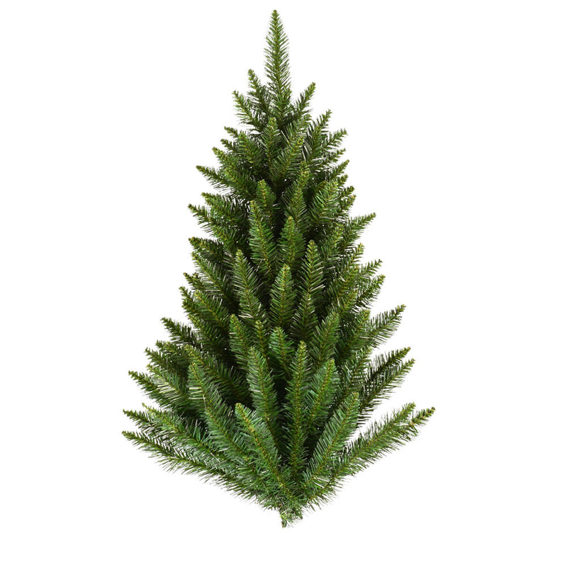 Camdon Fir