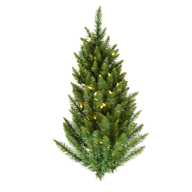 Camdon Fir