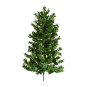 Imperial Pine
