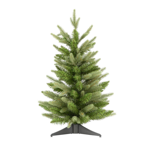 Frasier Fir