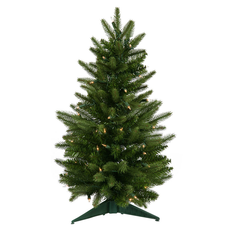 Frasier Fir