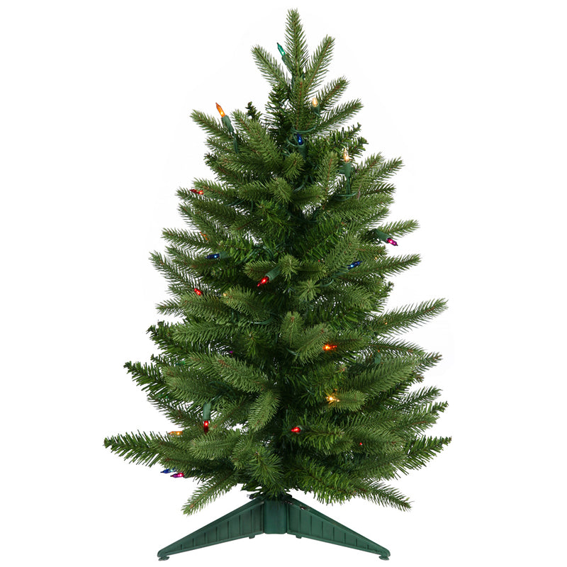 Frasier Fir