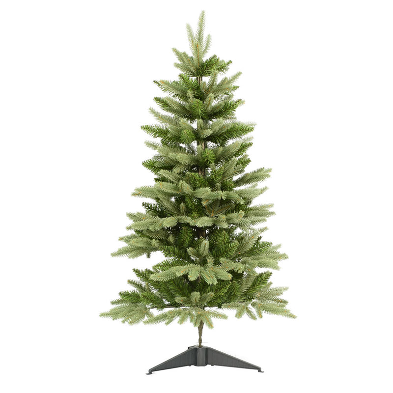 Frasier Fir