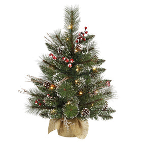 Snow Tipped Pine