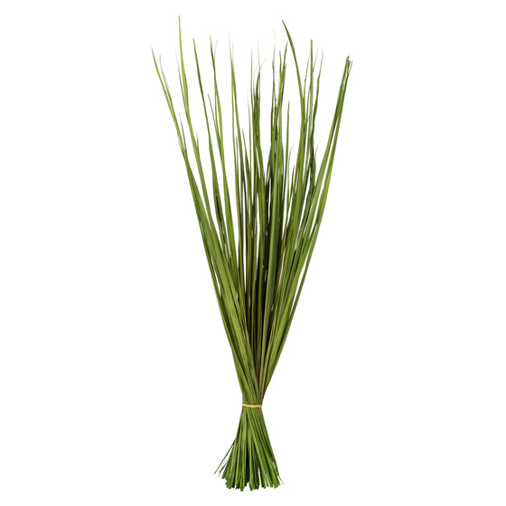 28-32" Basil Wild Flax Grass Bundle -4oz