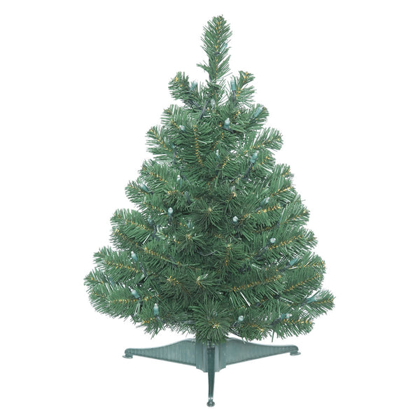 Oregon Fir