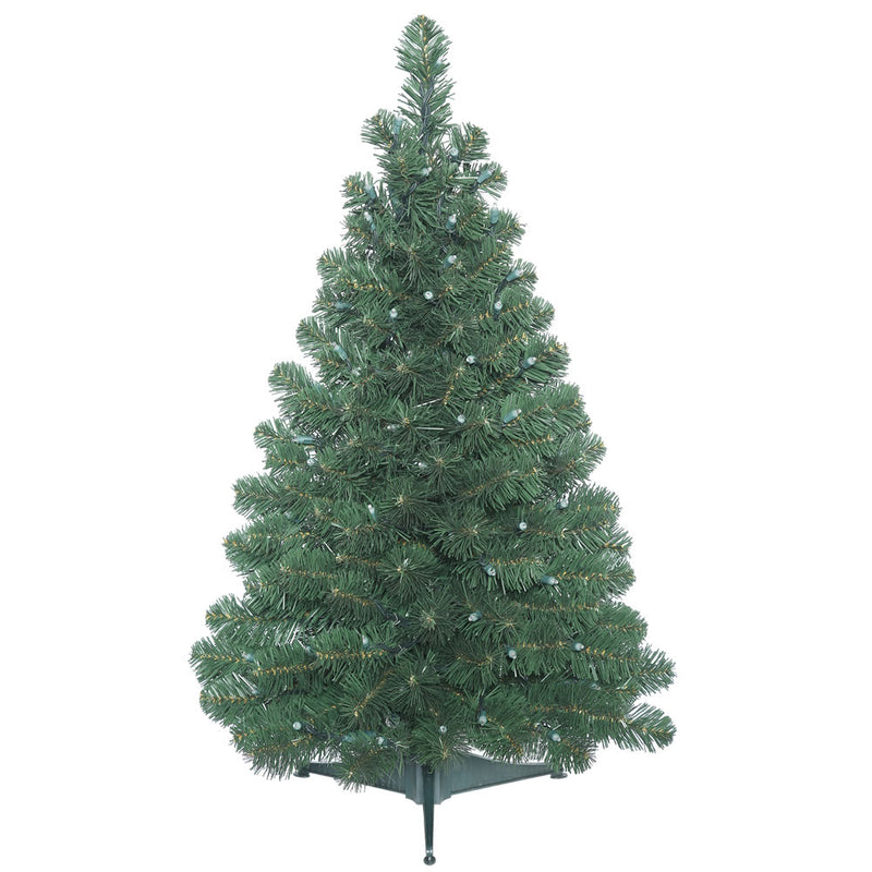 Oregon Fir