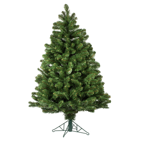 Oregon Fir