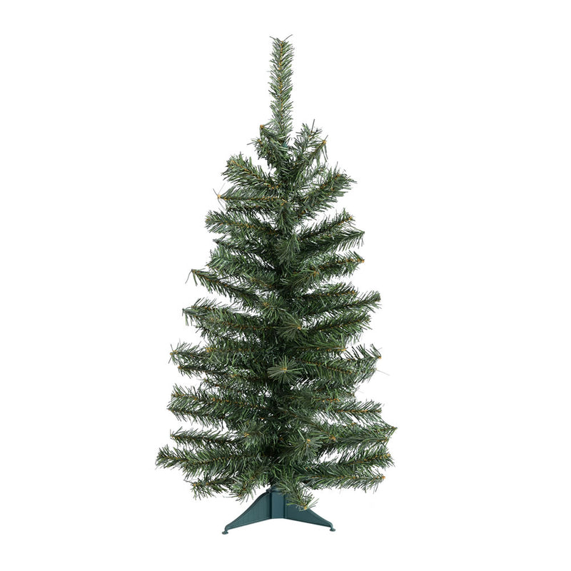 Canadian Pine