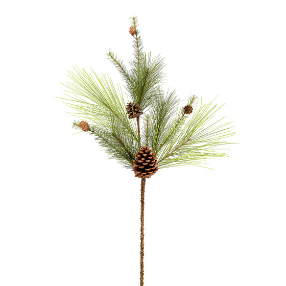 Larkspur Pine Series