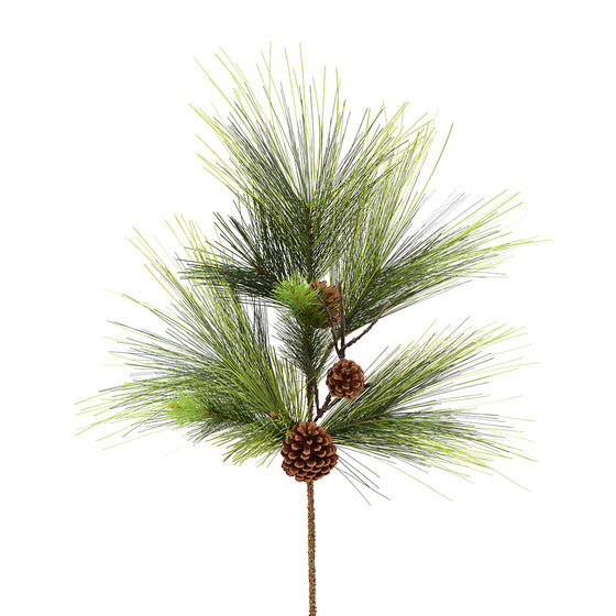 Boulder Pine Series