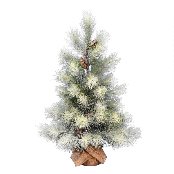 Frosted Norfolk Pine Series