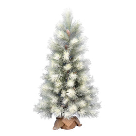 Frosted Norfolk Pine Series