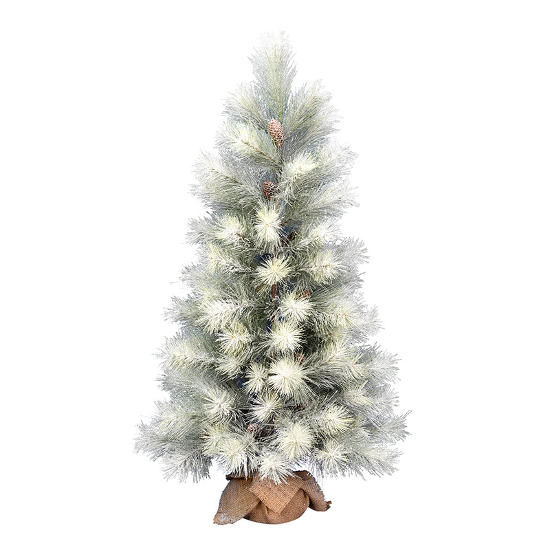 Frosted Norfolk Pine Series