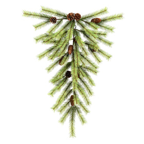 Austrian Pine Series