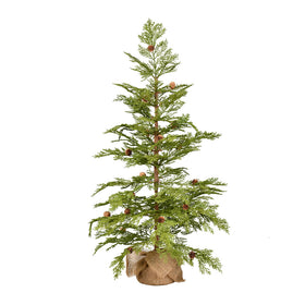 Cedar Pinecone