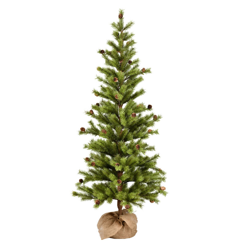 Vernon Pine