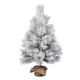 Frosted Beckett Pine