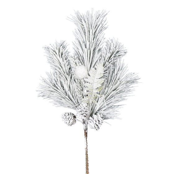 Frosted Beacon Pine