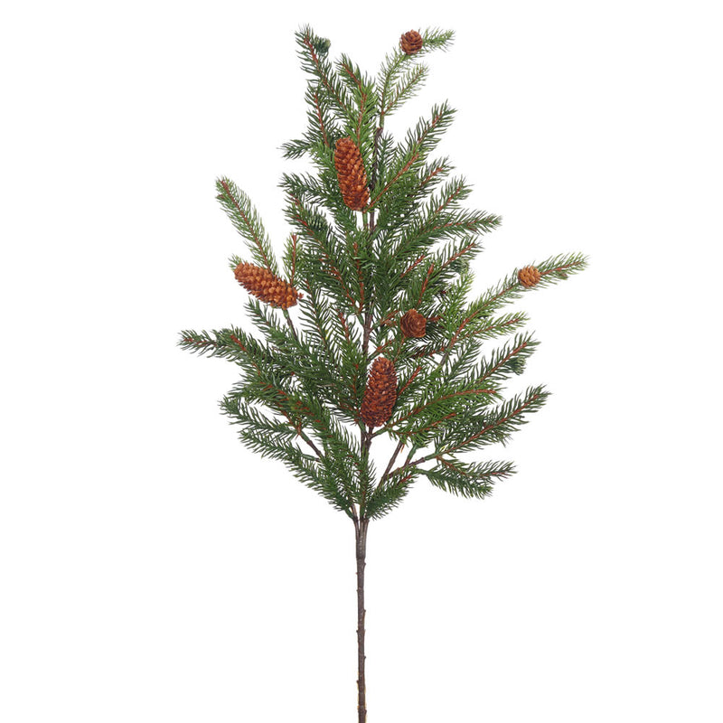 White Spruce