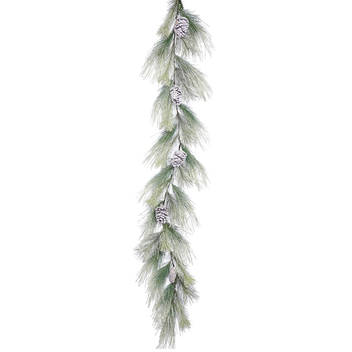 a sample image