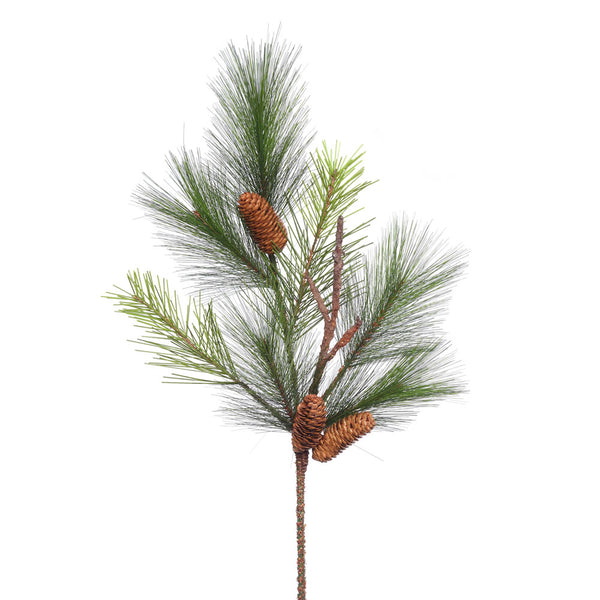 Bavarian Pine