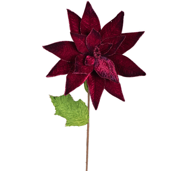 Poinsettia Stem