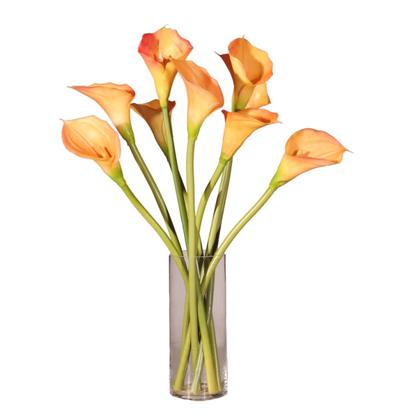 Calla Lilies